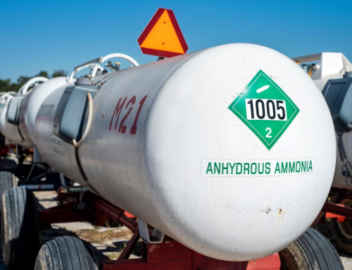 Making Net-Zero Ammonia Possible